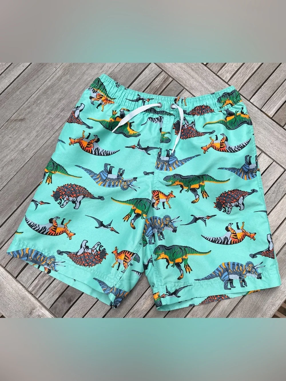 KIDS HANNA ANDERSSON Dinosaur Print Swim Trunks - Aqua - SIZE 10